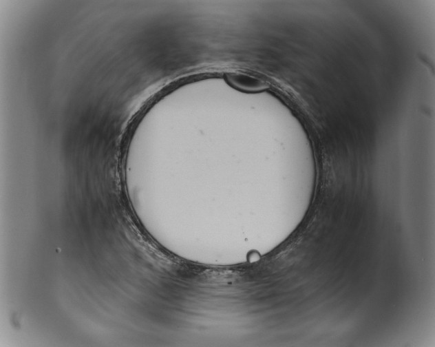 X0000100381168200806271327