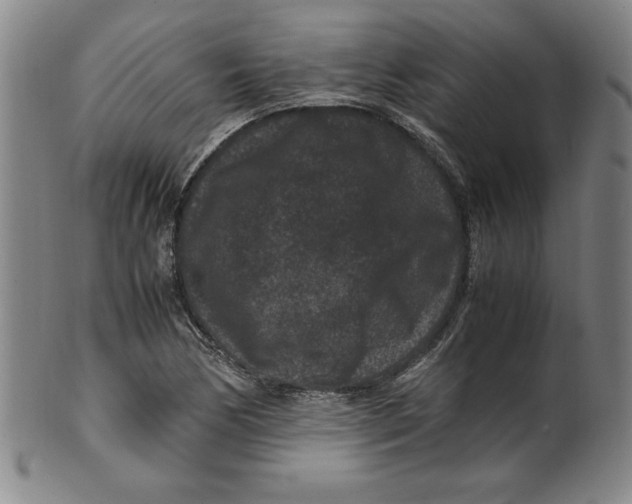 X0000100381170200806271327