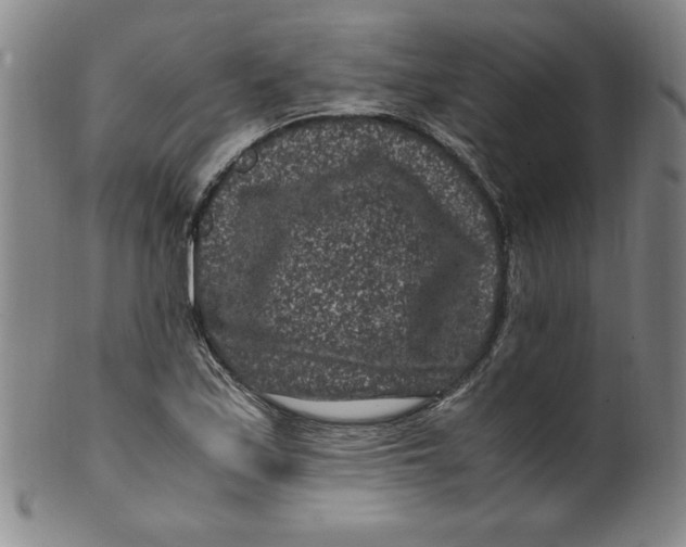 X0000100381171200806271327