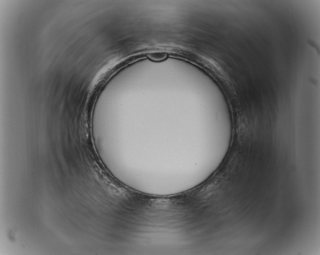 X0000100381172200806271327