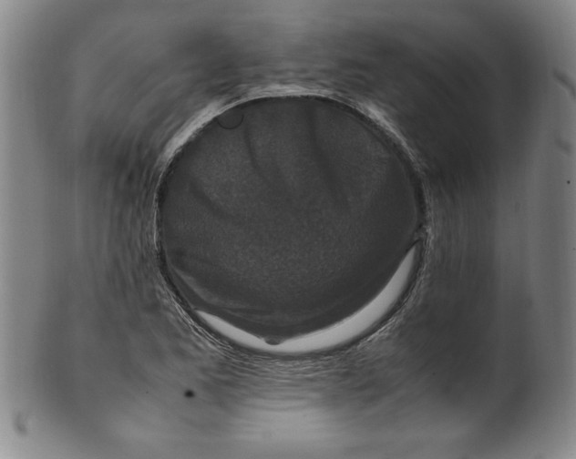 X0000100381173200806271327
