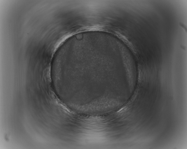 X0000100381174200806271327