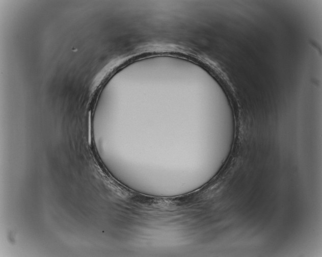 X0000100381175200806271327