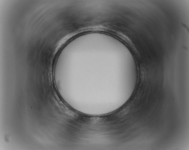 X0000100381176200806271327