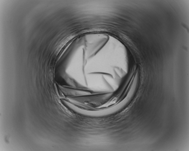 X0000100381177200806271327