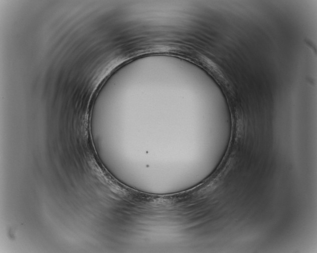 X0000100381178200806271327