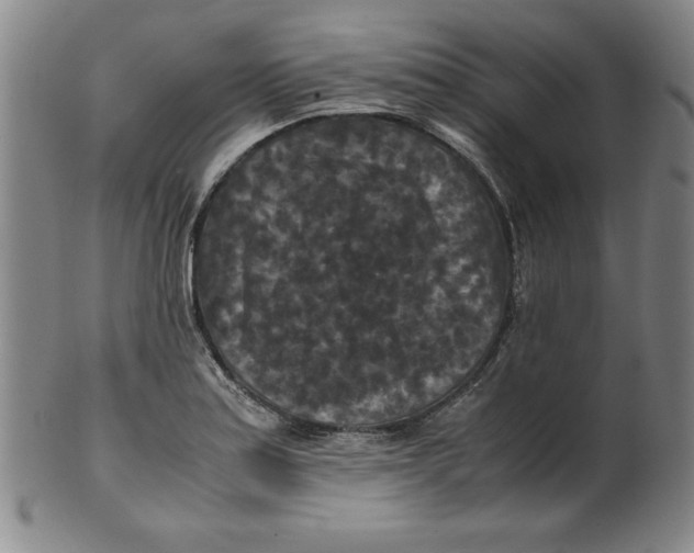 X0000100381179200806271327