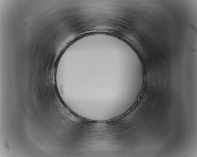 X0000100381180200806271327