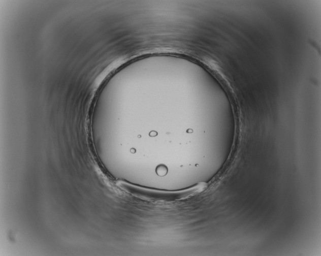 X0000100381181200806271327