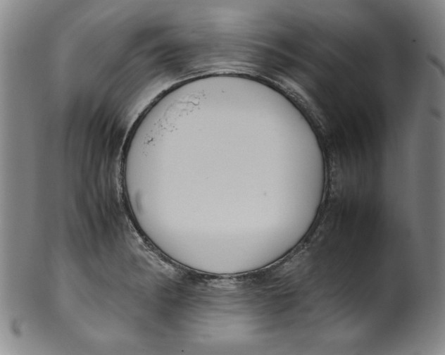 X0000100381182200806271327