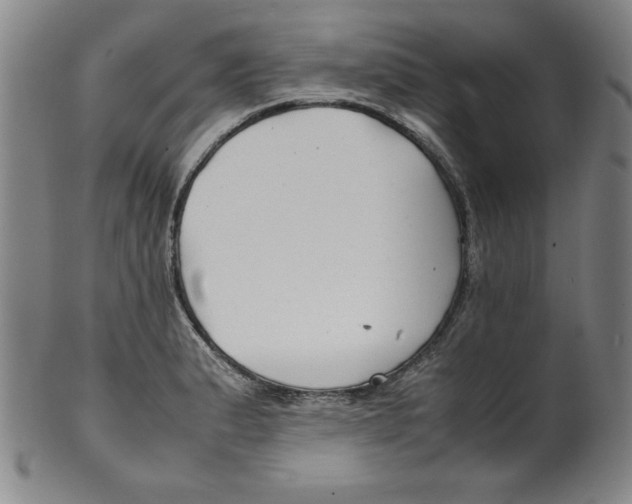 X0000100381183200806271327