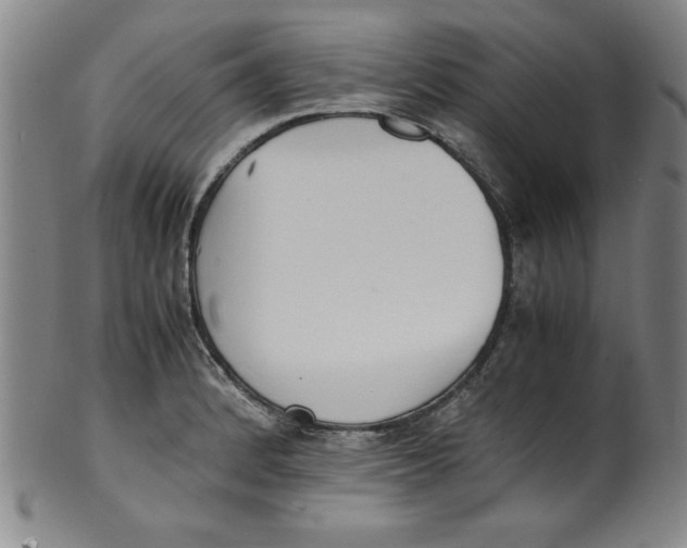 X0000100381184200806271327