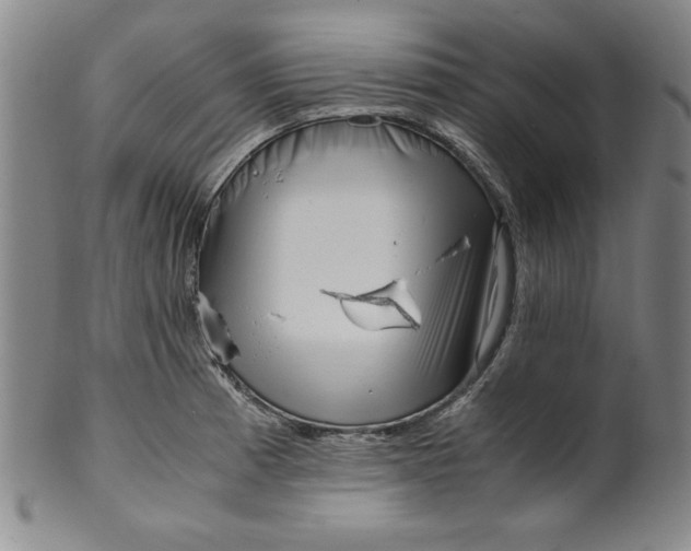 X0000100381185200806271327