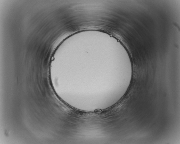 X0000100381187200806271327