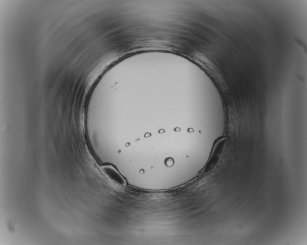 X0000100381188200806271327