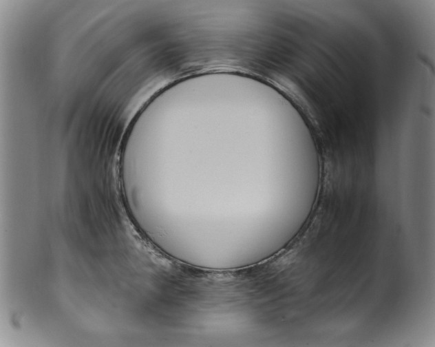 X0000100381190200806271327