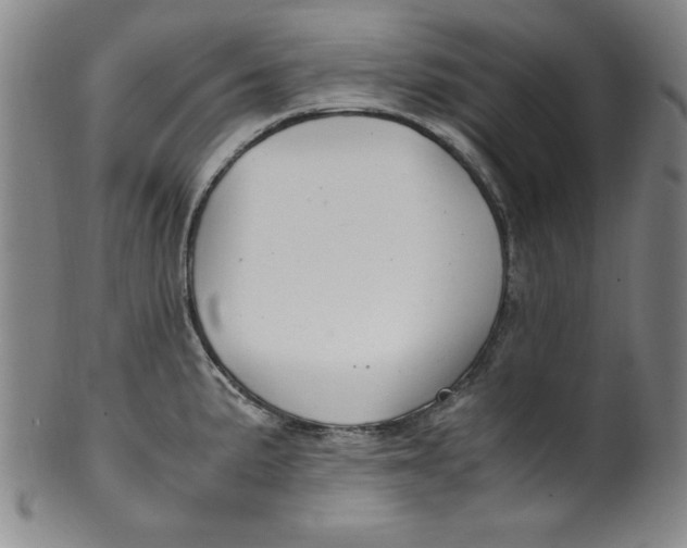 X0000100381191200806271327