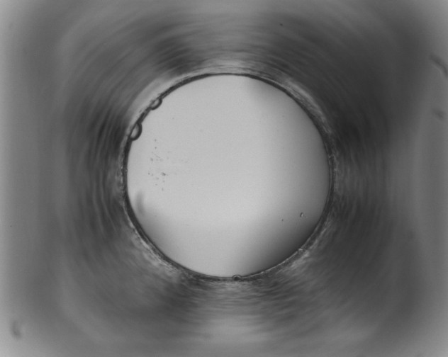 X0000100381192200806271327