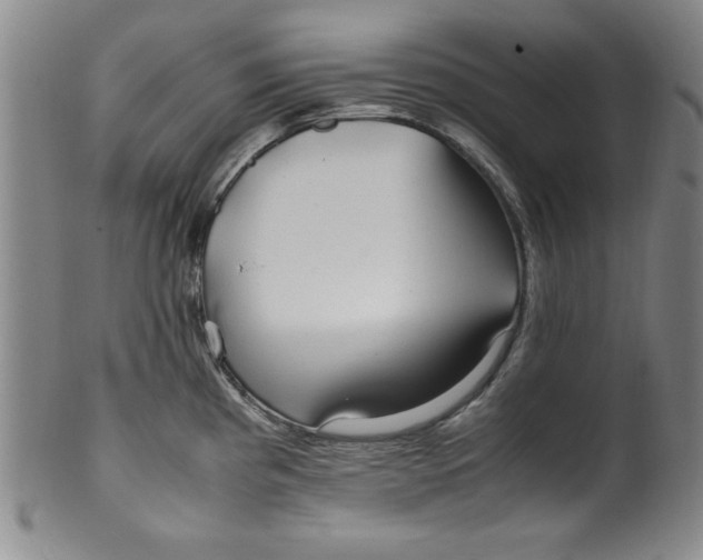 X0000100381193200806271327
