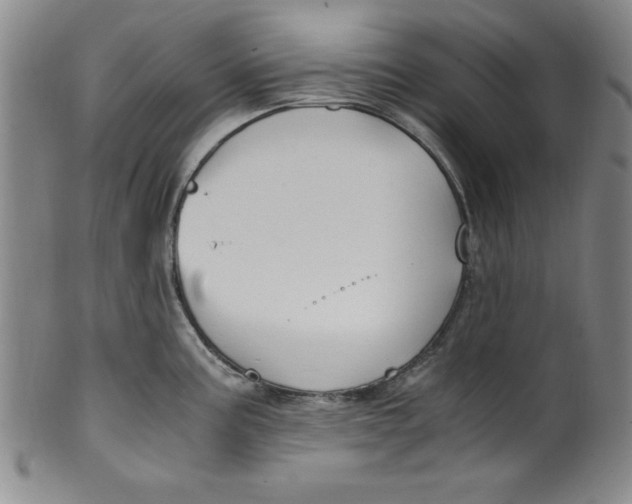 X0000100381195200806271327