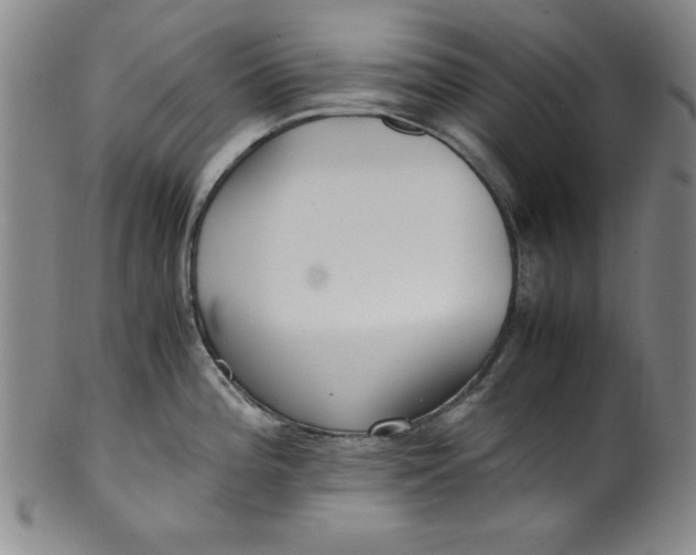 X0000100381196200806271327