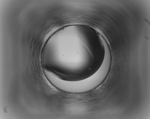 X0000100381197200806271327
