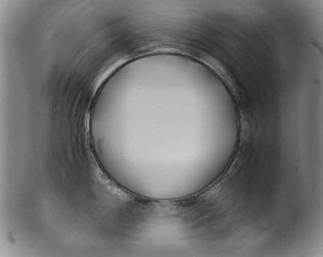X0000100381198200806271327
