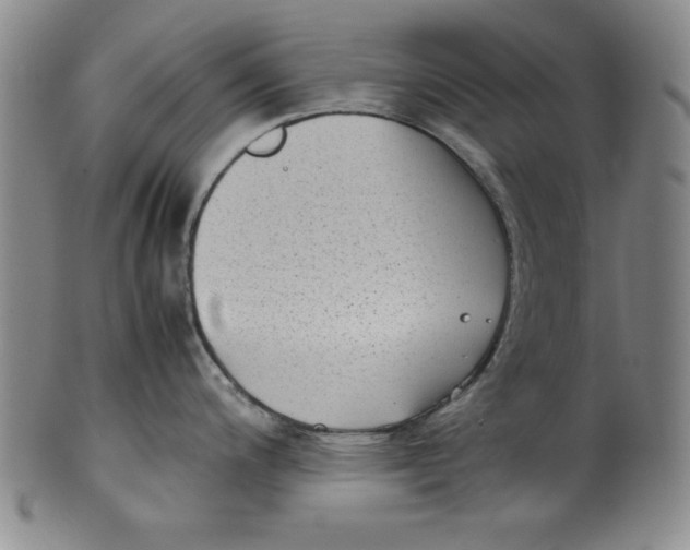 X0000100381200200806271327