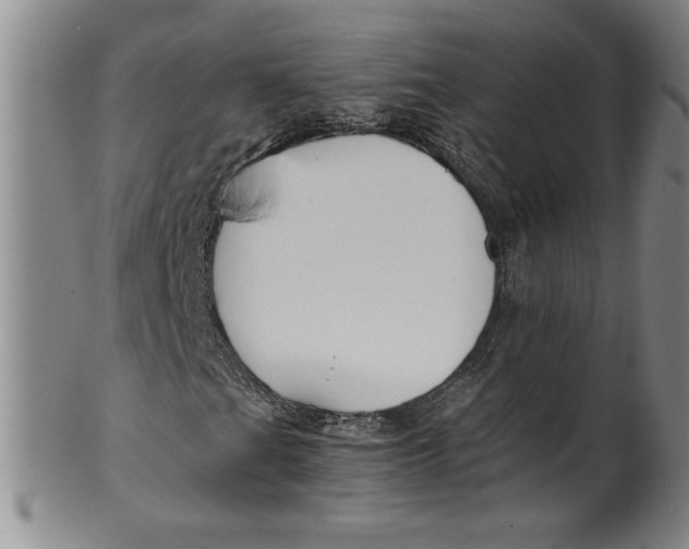 X0000100381201200806271326