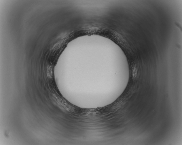 X0000100381204200806271326