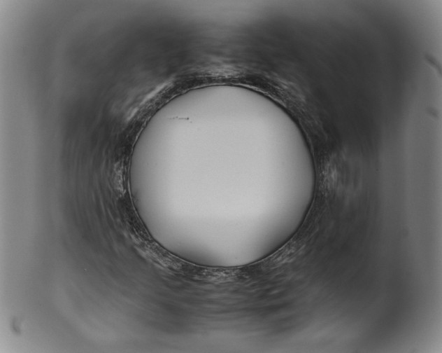 X0000100381205200806271326