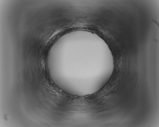 X0000100381206200806271326