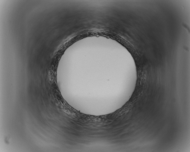 X0000100381207200806271326
