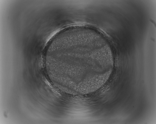 X0000100381208200806271326