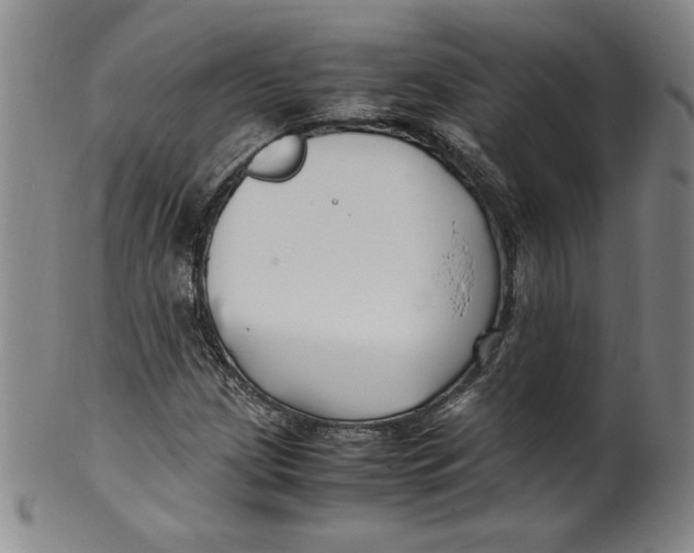 X0000100381209200806271326