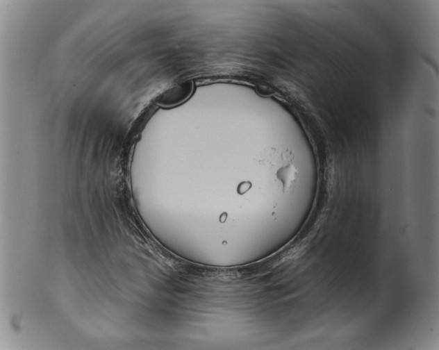 X0000100381210200806271326