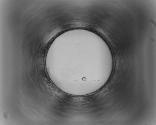X0000100381211200806271326