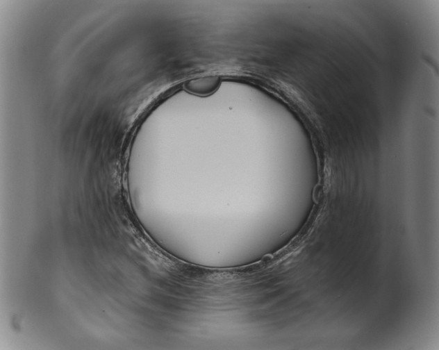 X0000100381212200806271326