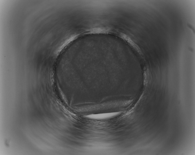 X0000100381213200806271326
