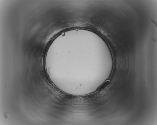 X0000100381214200806271326