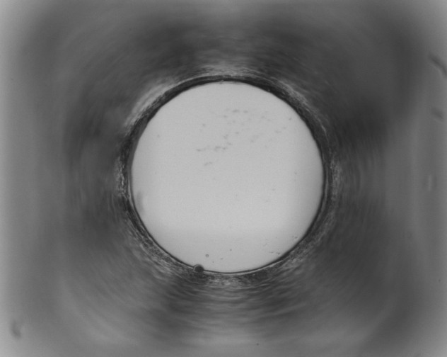 X0000100381215200806271326