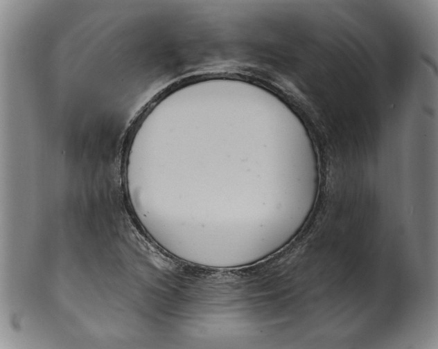 X0000100381216200806271326