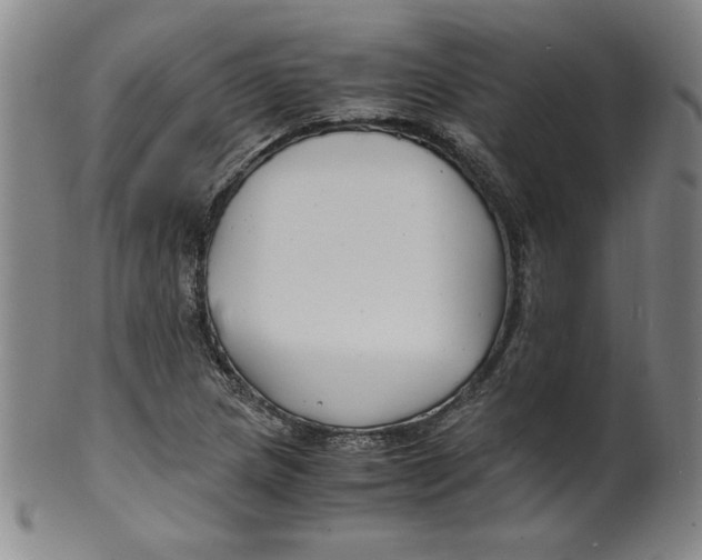 X0000100381217200806271326