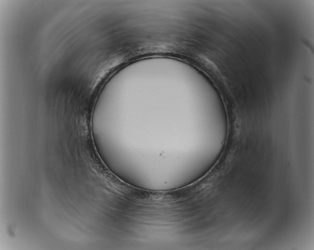 X0000100381218200806271326