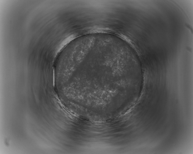 X0000100381219200806271326