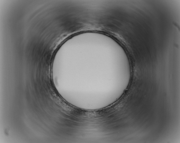 X0000100381220200806271326