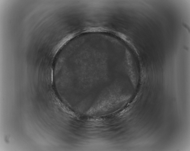 X0000100381221200806271326