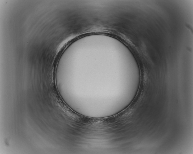 X0000100381222200806271326
