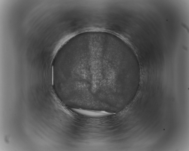 X0000100381223200806271326