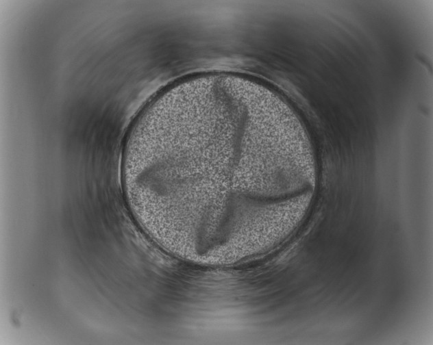 X0000100381224200806271326